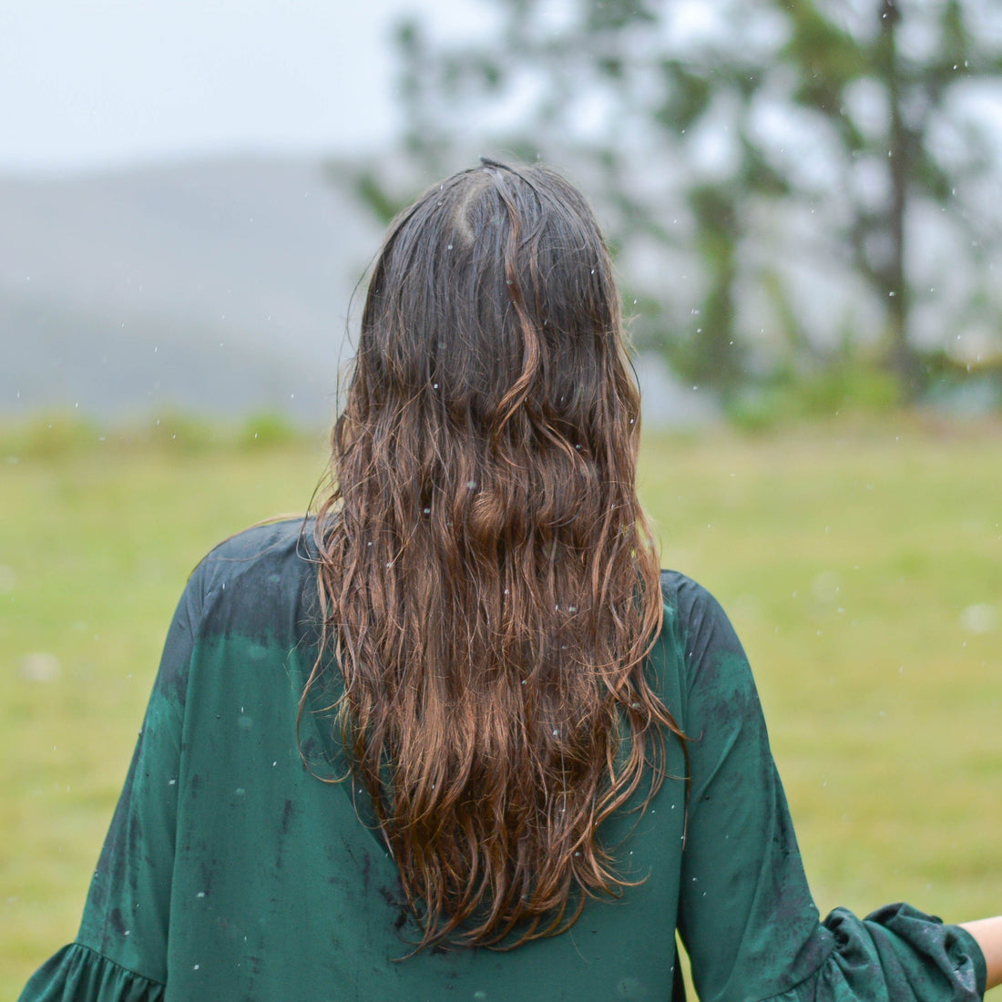 Scalp care: por que o cuidado começa no couro cabeludo