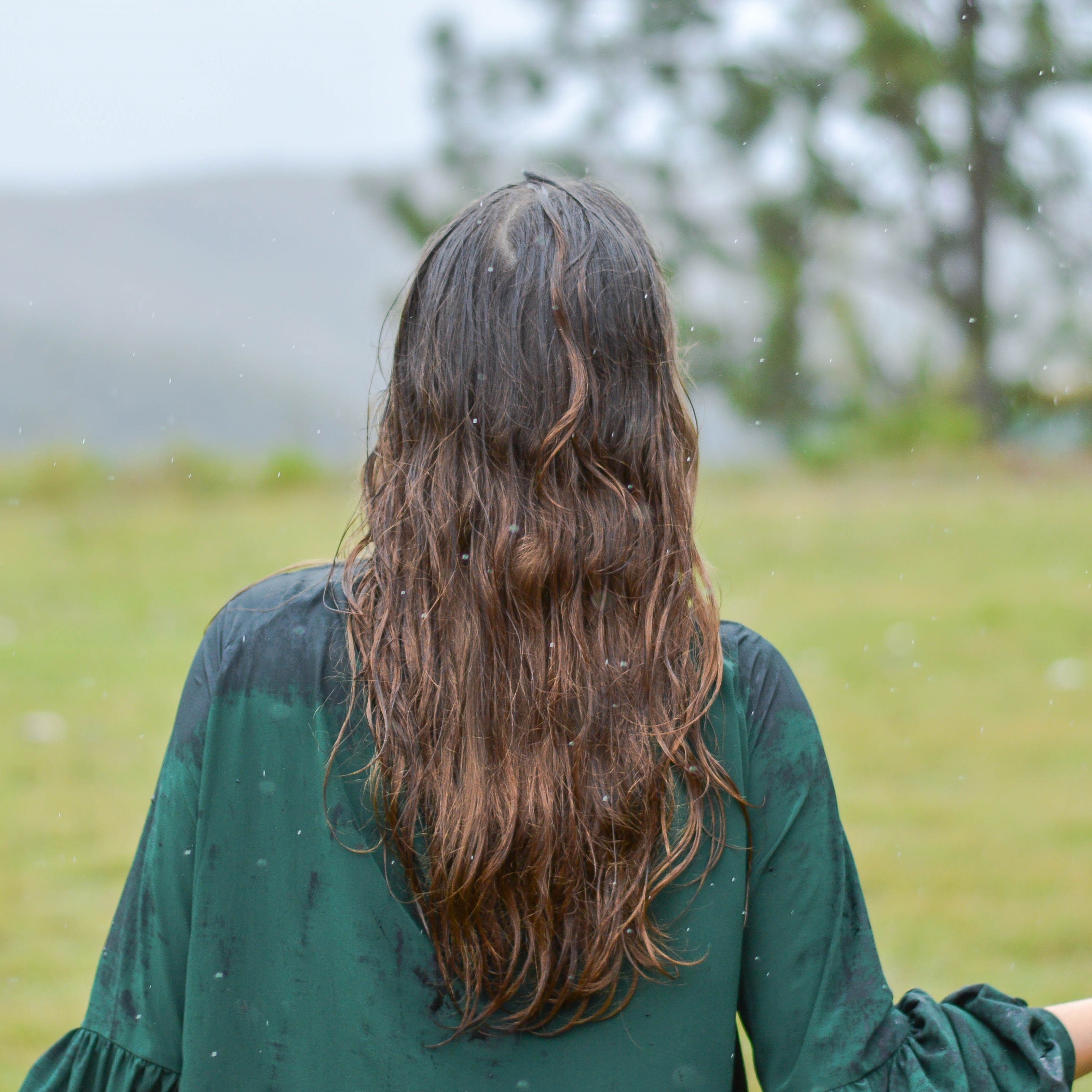 Scalp care: por que o cuidado começa no couro cabeludo