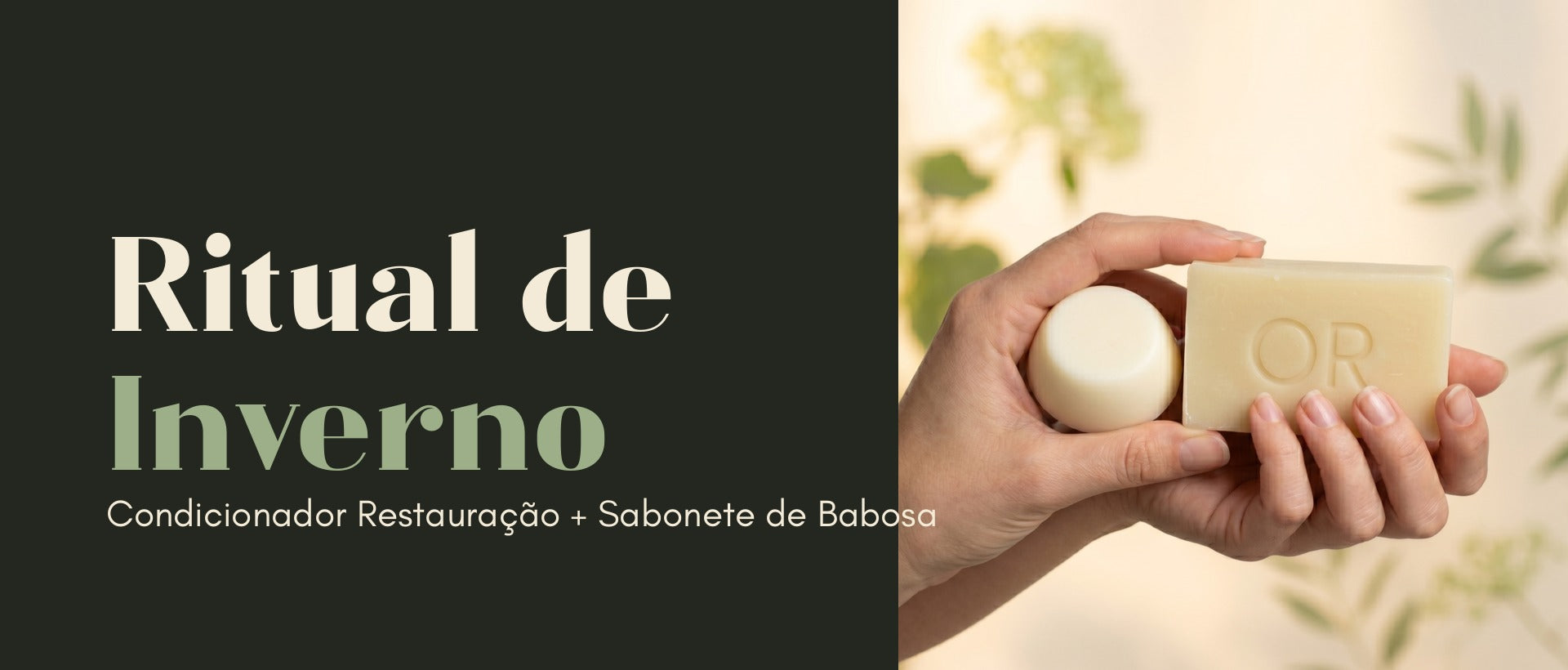 Banner Kit Inverno
